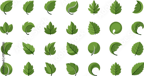 Collection of Various Green Leaf Vector Icons and Nature Elements Set