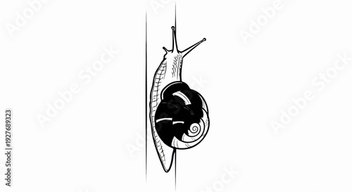 Line art illustration of a snail climbing a vertical surface
