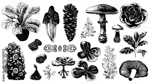 Retro garden kit with vegetable art and ornate lettering, illustration set