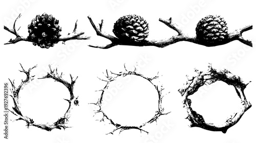 Autumnal ring selection with pinecones and weathered branches, vector set