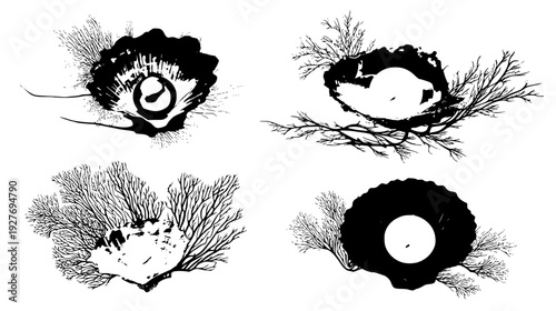 Sunken pearl set with jagged shells and coral branches, vector graphic set