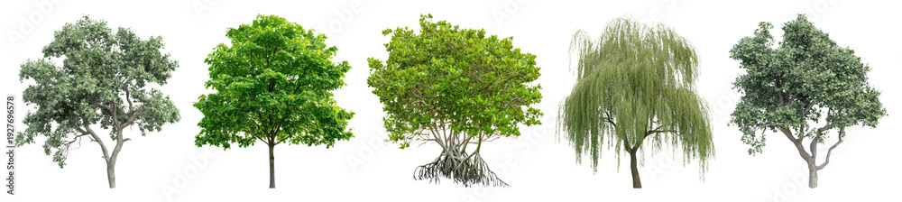 Fototapeta premium PNG Diverse trees with lush foliage, transparent background