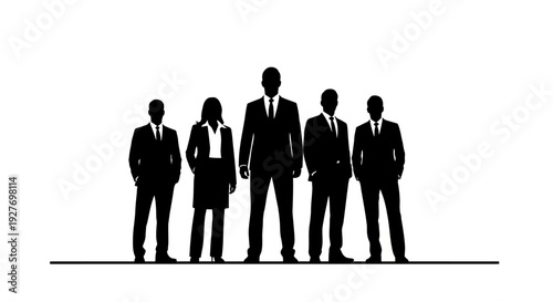 Group of professionals silhouette business team concept white background