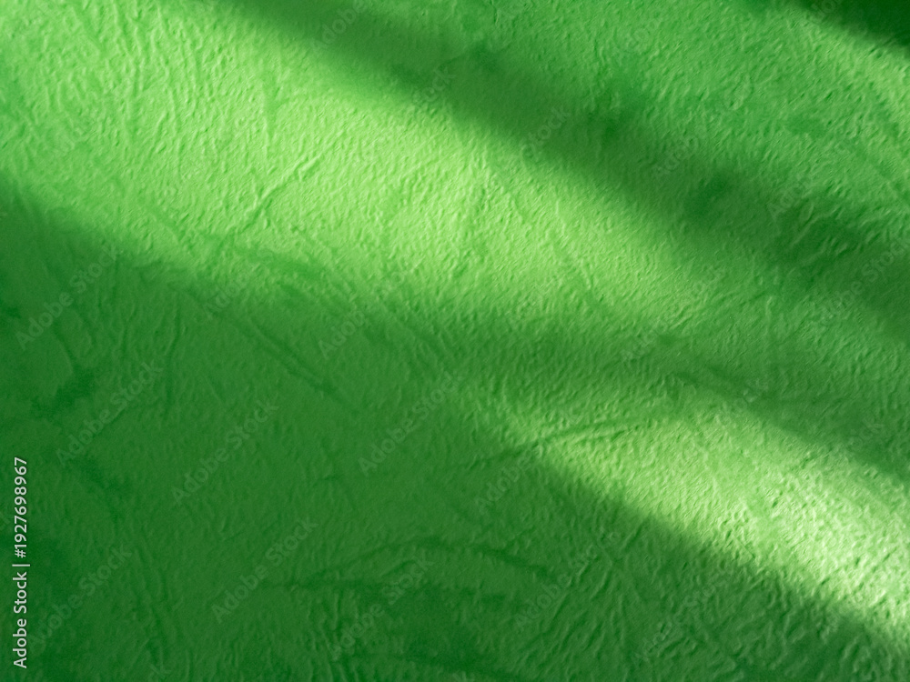 Obraz premium Background green abstract line shadow overlay on cement wall floor beige mockup product cosmetic summer tropical nature presentation frame template eco backdrop environment