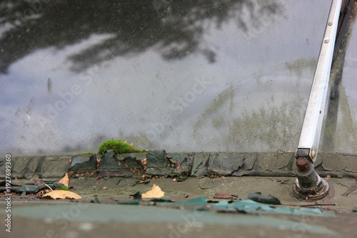 Moss and Peeling Paint on an Abandoned Car Windshield