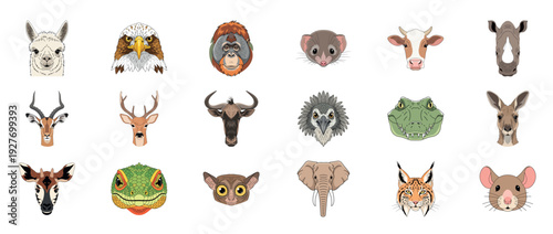Collection of diverse animal faces featuring mammals, birds, and reptiles
