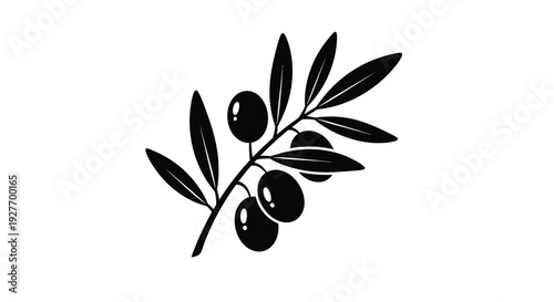 A simple black and white illustration of an olive branch with fruit