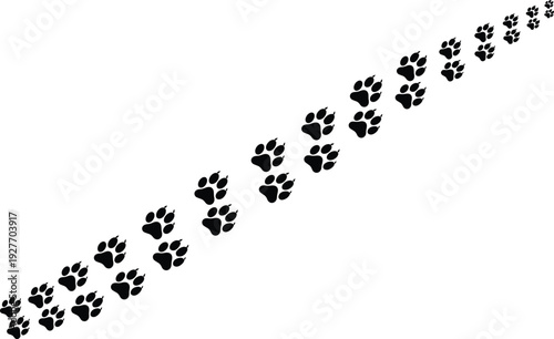 Diagonal trail of animal paw prints, black silhouette footprints isolated on white background, wildlife track pattern vector illustration for design use