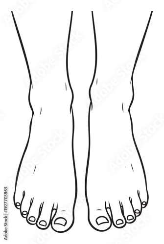 Simple line drawing of a pair of human feet showing the toes and ankles, perfect for medical, educational, or wellness related projects