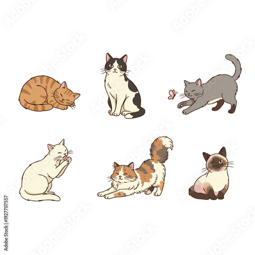 Collection of cute hand drawn domestic cats in various poses like sleeping sitting stretching and grooming isolated on white background for pet lovers