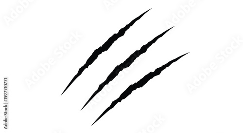 Black claw marks resembling animal scratches on a white background