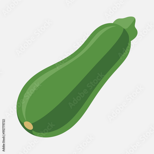 Fresh green zucchini vegetable in modern illustration style