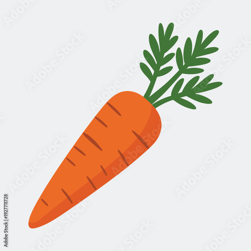 Fresh orange carrot with green leaves illustration