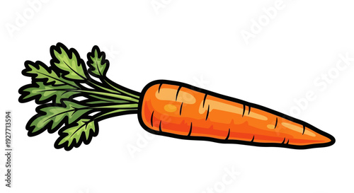 Fresh orange carrot vegetable root.