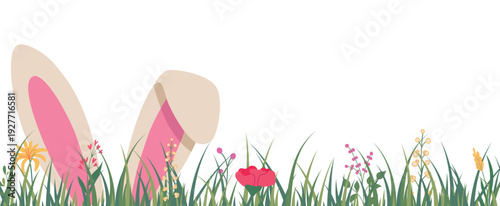 Horizontal banner with a rabbit's ears in fresh green grass. Easter spring floral backdrop. Vector illustration isolated on a white background