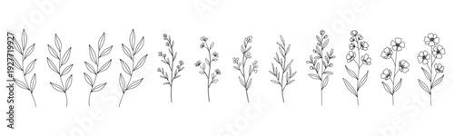 Line art of various delicate flowers and leaves in a minimalist style
