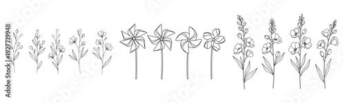 Black and white botanical illustrations of various flowers and pinwheels
