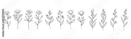 Black and white floral line art of various blossoms and stems