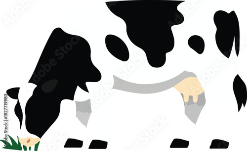 Black and White Cow Eating Grass Flat Vector