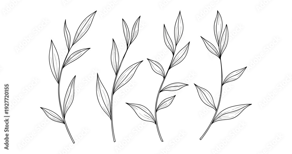 Fototapeta premium Minimalist botanical sketch of four black and white leaf branches