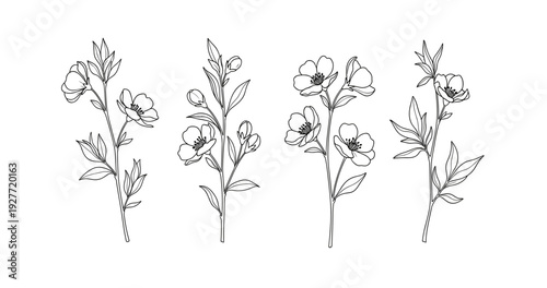 Hand-drawn floral elements: line art of blooming flower stems