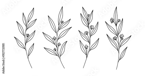 Minimalist botanical line art of leaf and flower stems in black and white