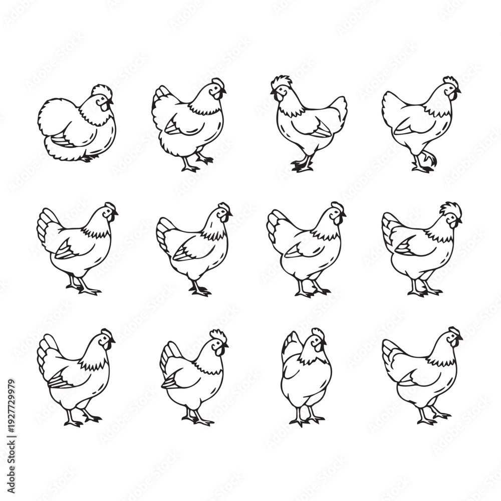 Fototapeta premium Collection of Hand-Drawn Chicken Illustrations in Various Poses Stock Illustration