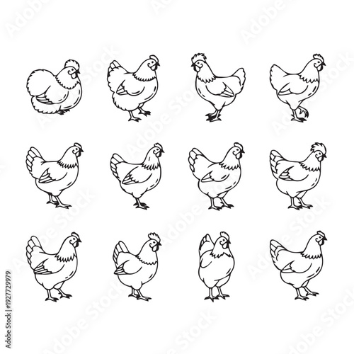 Collection of Hand-Drawn Chicken Illustrations in Various Poses Stock Illustration