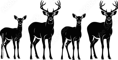 Deer family silhouette vector illustration, stag and doe wildlife animals isolated, forest mammal graphic icon collection set
