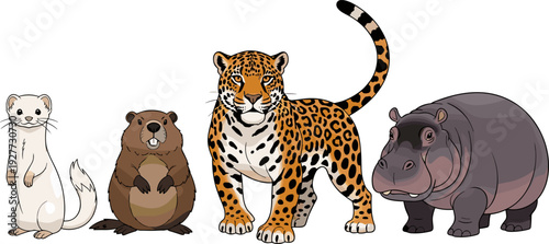 Wild animal cartoon collection, leopard hippopotamus beaver ferret vector illustration isolated wildlife character set nature design bundle