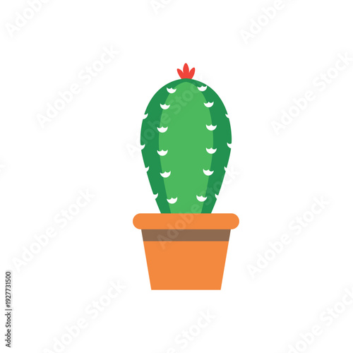 5 De Mayo Cactus