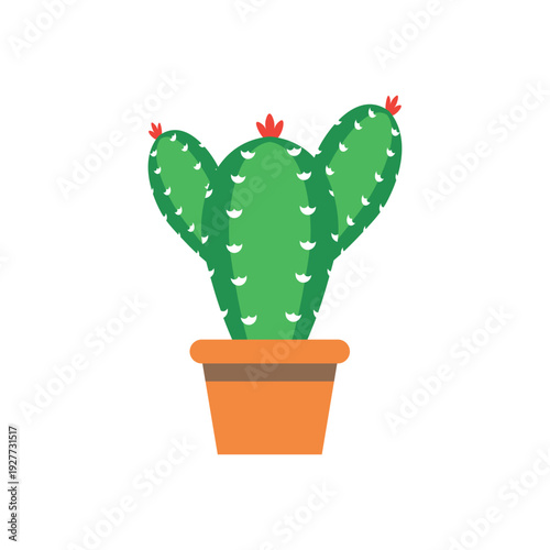 5 De Mayo Cactus