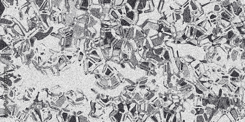 Intricate abstract grayscale texture with a complex network of interconnected organic shapes and a grainy noise effect, suggesting a cellular or biological structure