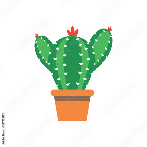 5 De Mayo Cactus