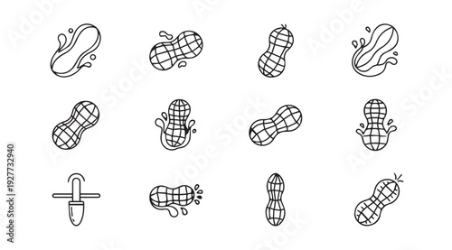 Peanut Icon Set Collection: Various Poses and Actions Hand-Drawn Outline Style