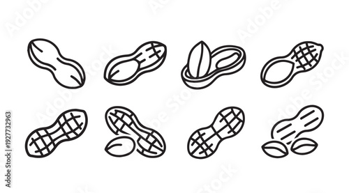 Peanut Icons Set Hand Drawn Outline Food Illustrations Simple Graphic Elements