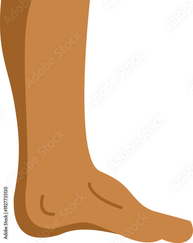 Human leg and foot representing anatomy and body parts
