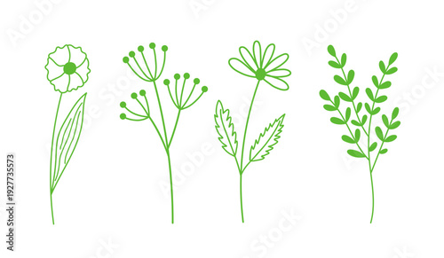 Green Botanical Line Art Set, Minimal Wildflower and Leaf Vector Icons Collection