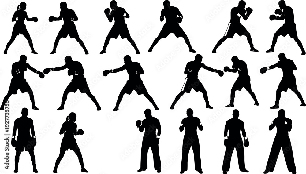 Fototapeta premium Vector silhouette collection of professional male and female boxers in active fighting stances and defensive poses for sports graphic designs.