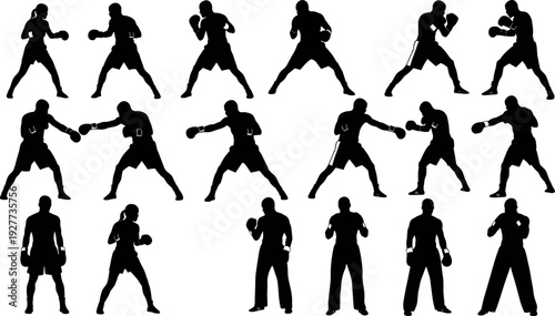 Vector silhouette collection of professional male and female boxers in active fighting stances and defensive poses for sports graphic designs.