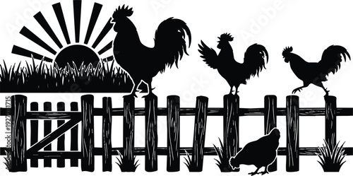 Silhouette farm scene roosters on wooden fence at sunrise with grass hen pecking side view simple flat vector art