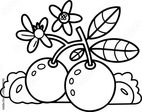 Hand drawn fruit coloring page with pears and flowers vector illustration flat design