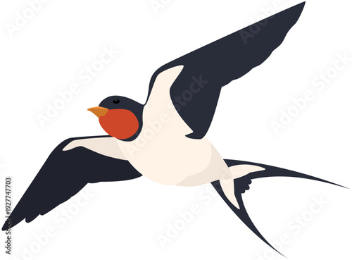 Flying Swallow Bird Illustration