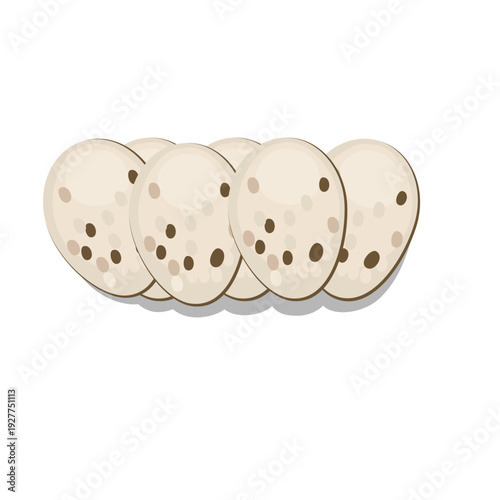 Reptile Eggs Illustration 
