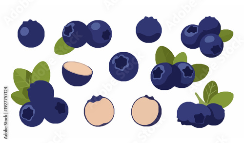 Ripe blueberry flat vector illustration fresh healthy berry fruit collection isolated