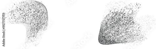 Vector particle flow formed by dynamic black textures. Organic particle shape with depth and movement. Noise texture with dynamic particle textures for design overlay.