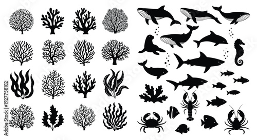 Black and White Marine Life Silhouette Collection, Seaweed Corals and Diverse Underwater Animals Set, Whales Dolphins Sharks Minimalist Graphic Illustration, White Background
