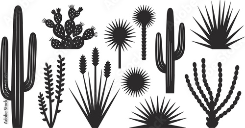 Collection of Desert Plant Silhouettes on White Background Keywords: cactus, succulent, desert, plant, flora, nature, silhouette