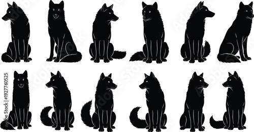 Black wolf silhouettes set featuring various sitting poses of wild forest animals isolated on white background for nature wildlife and predator design projects