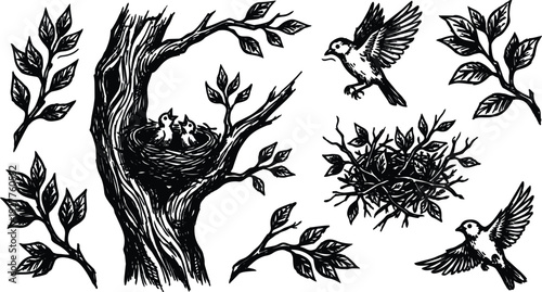 Woodcut style close up tree trunk with nest and three baby birds looking up two birds flying nearby overhead branches